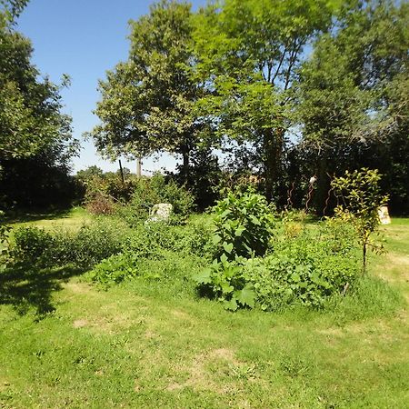 Tranquille Vienne Gites A Chirac Dept Charente Buitenkant foto