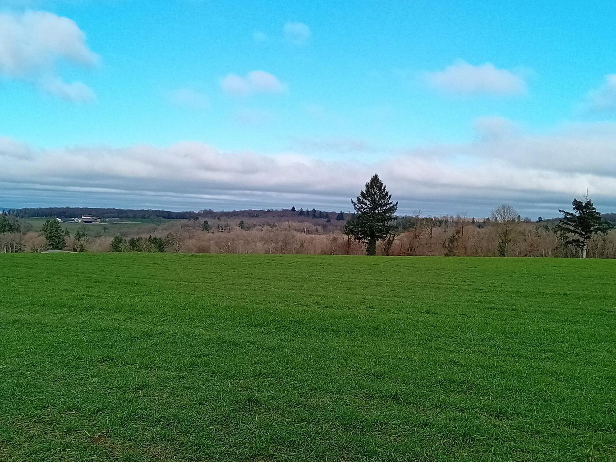 Tranquille Vienne Gites A Chirac Dept Charente Buitenkant foto