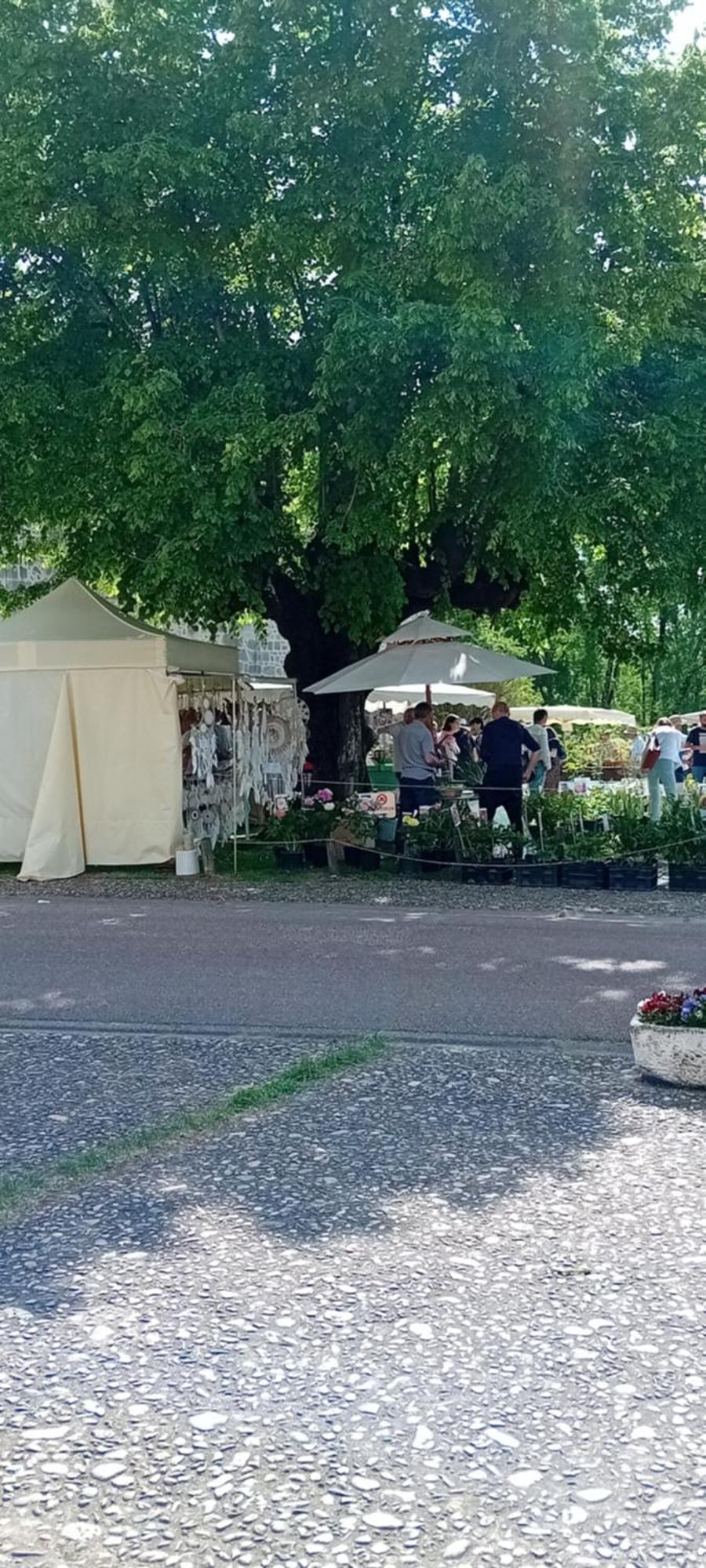 Tranquille Vienne Gites A Chirac Dept Charente Buitenkant foto